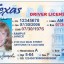 61838-driverslicense1