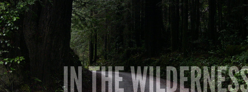 inthewilderness
