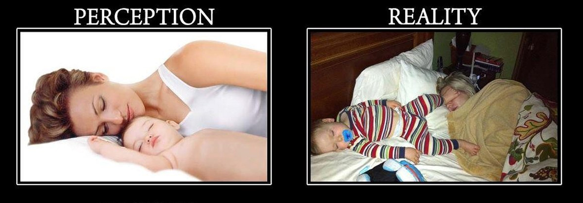 perception-reality